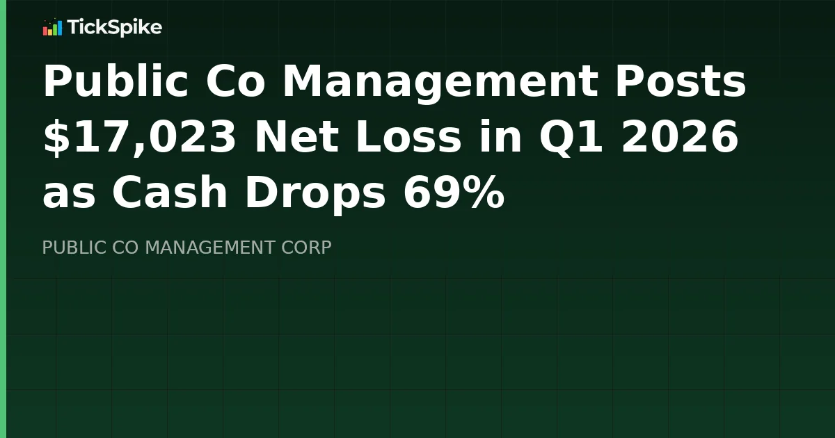 Public Co Management Posts $17,023 Net Loss in Q1 2026 as Cash Drops 69%