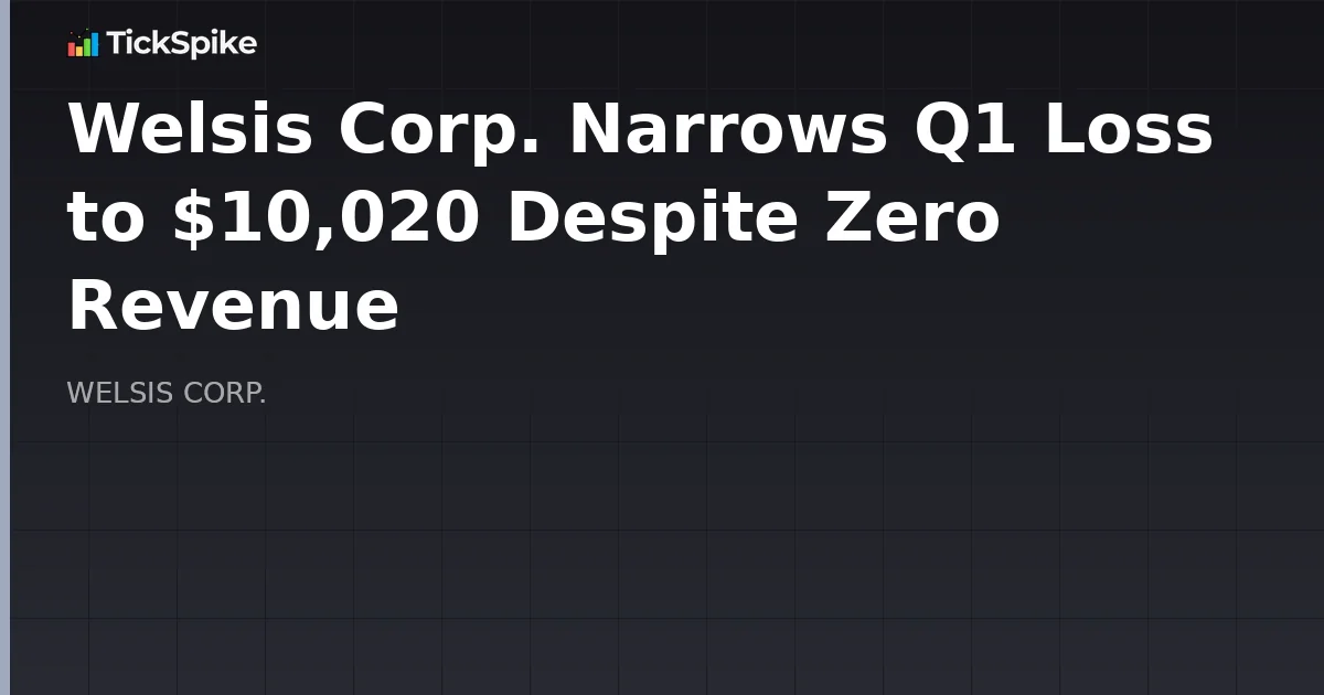 Welsis Corp. Narrows Q1 Loss to $10,020 Despite Zero Revenue