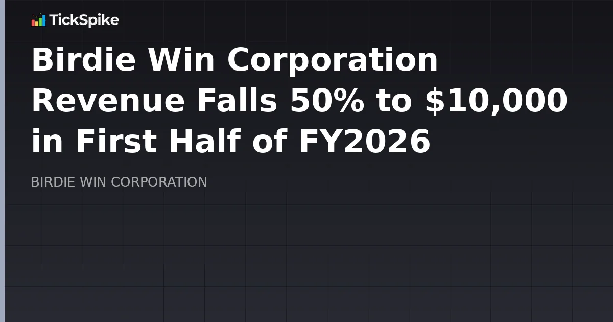 Birdie Win Corporation Revenue Falls 50% to $10,000 in First Half of FY2026