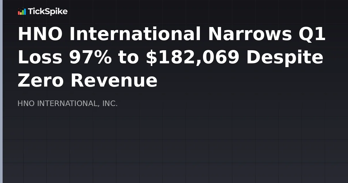HNO International Narrows Q1 Loss 97% to $182,069 Despite Zero Revenue