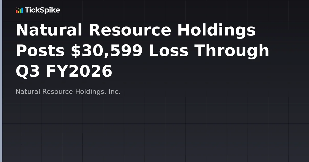 Natural Resource Holdings Posts $30,599 Loss Through Q3 FY2026