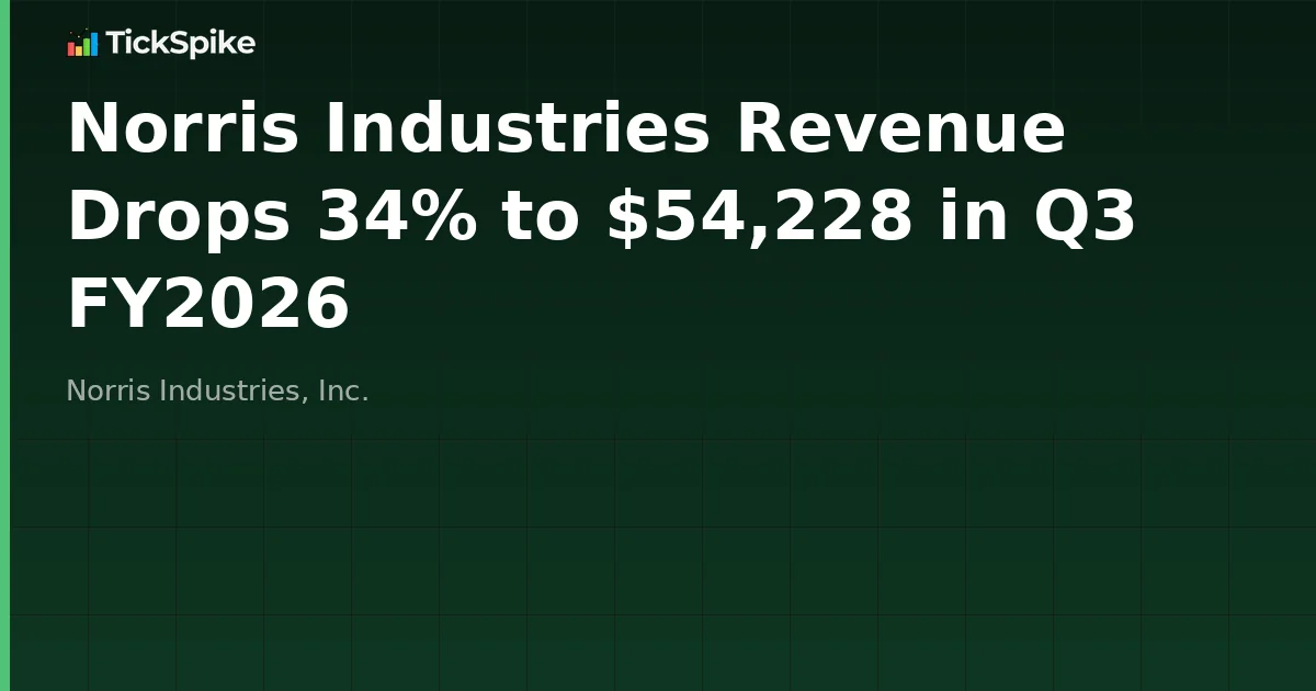 Norris Industries Revenue Drops 34% to $54,228 in Q3 FY2026