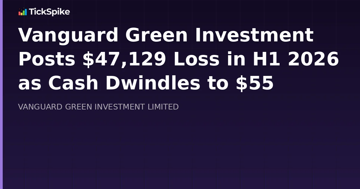 Vanguard Green Investment Posts $47,129 Loss in H1 2026 as Cash Dwindles to $55