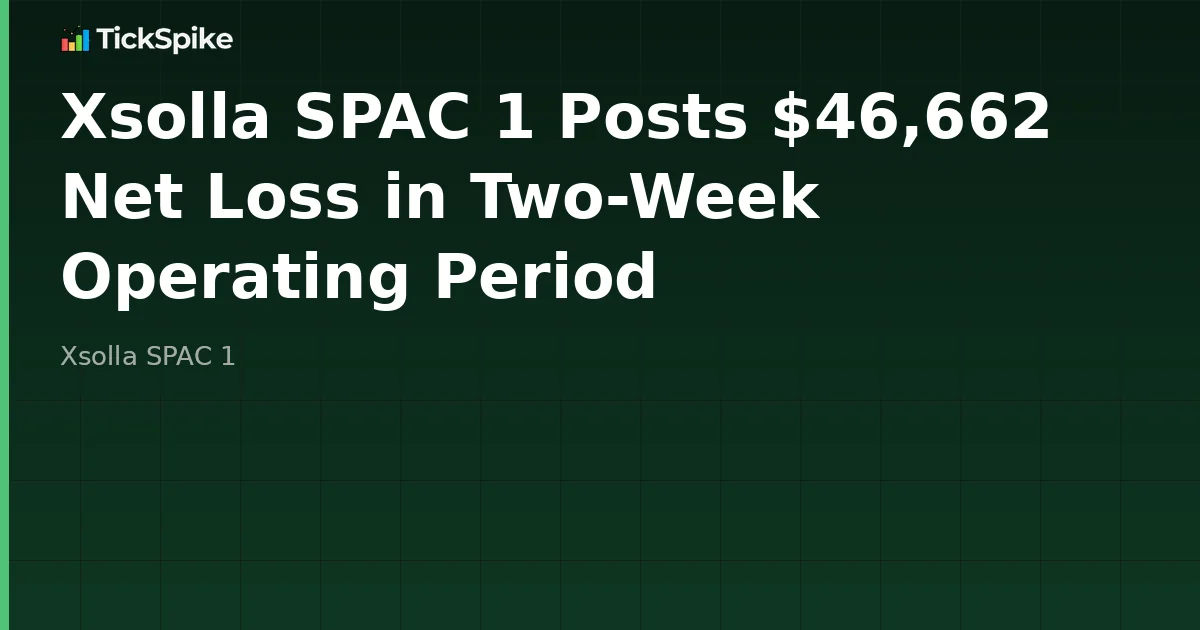 Xsolla SPAC 1 Posts $46,662 Net Loss in Two-Week Operating Period