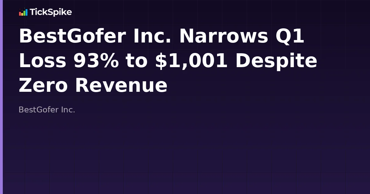 BestGofer Inc. Narrows Q1 Loss 93% to $1,001 Despite Zero Revenue
