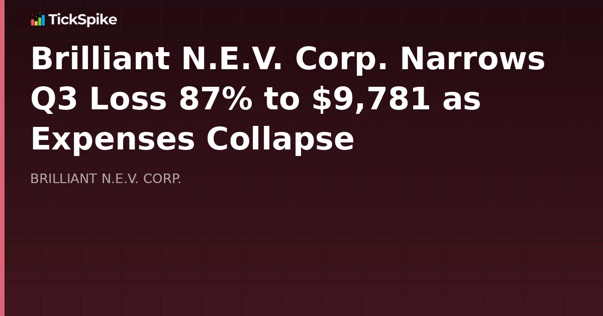 Brilliant N.E.V. Corp. Narrows Q3 Loss 87% to $9,781 as Expenses Collapse